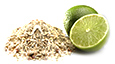 fibre