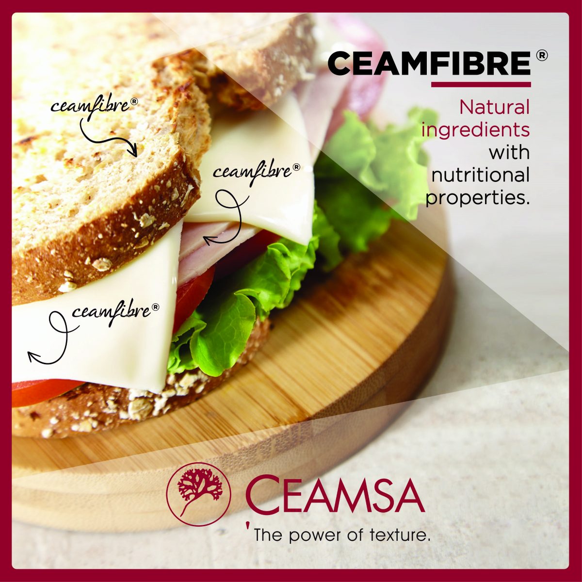 Ceamfibre